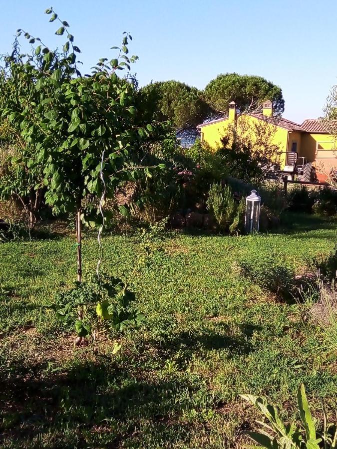 B&B La Gallinella Rossa Baschi Exterior foto